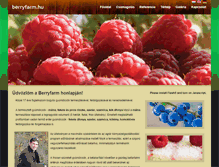 Tablet Screenshot of berryfarm.hu